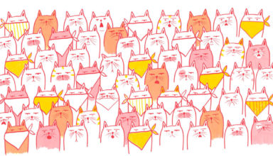 Dibujo de Josefina Preumayr para el libro "Gato enojado no caza ratones" de Laura Vilche